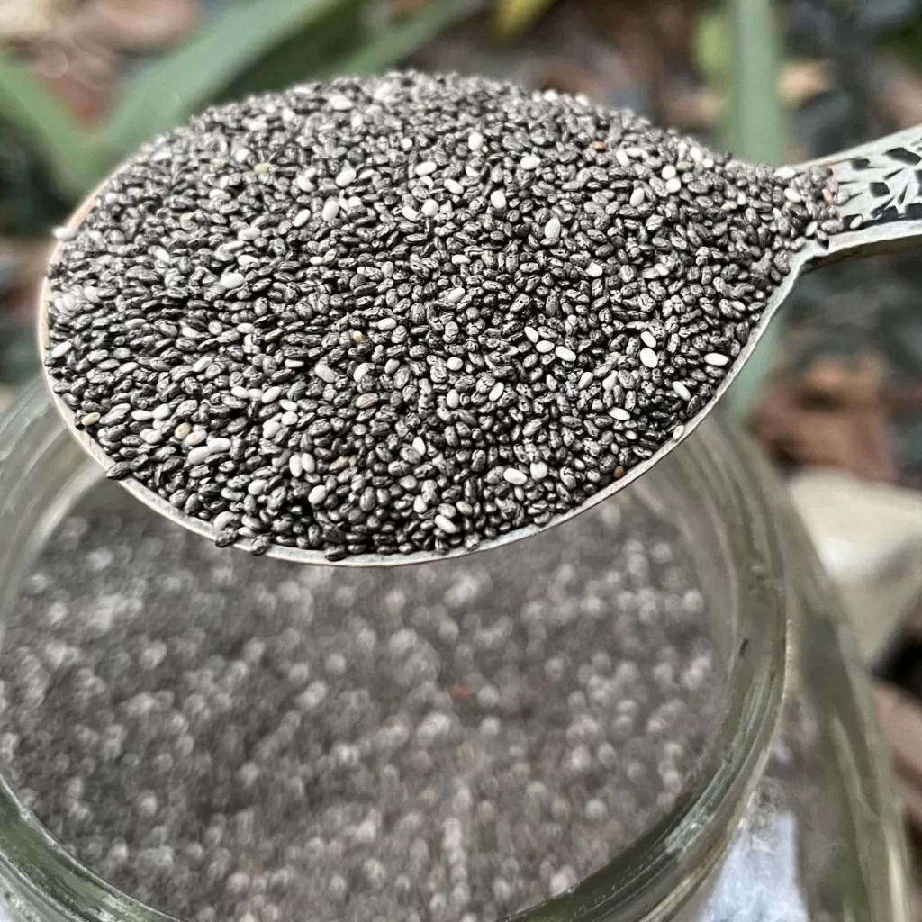 raw chia seeds 9